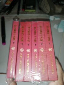 野火春风斗古城〖全6册〗（50开 精装 连环画）全新未拆