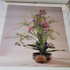 插花 1987年挂历 插花艺术