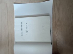 辽西建平北部脉状金矿 包邮挂刷