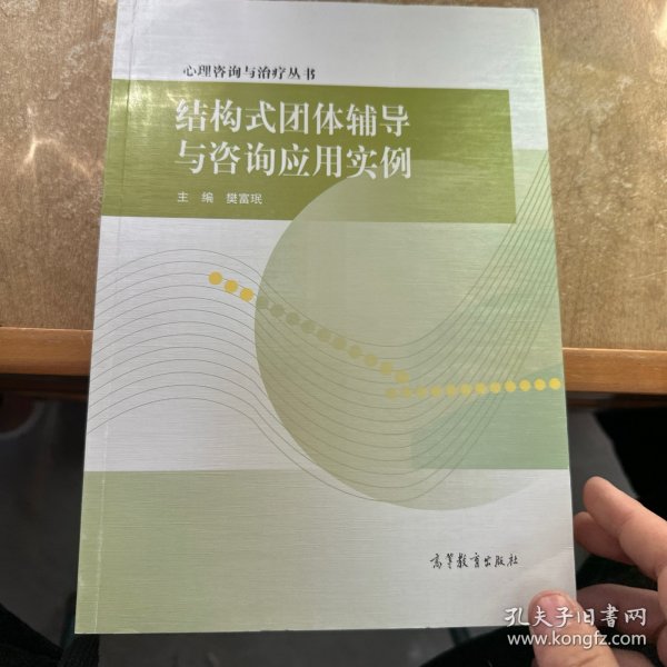 心理咨询与治疗丛书：结构式团体辅导与咨询应用实例