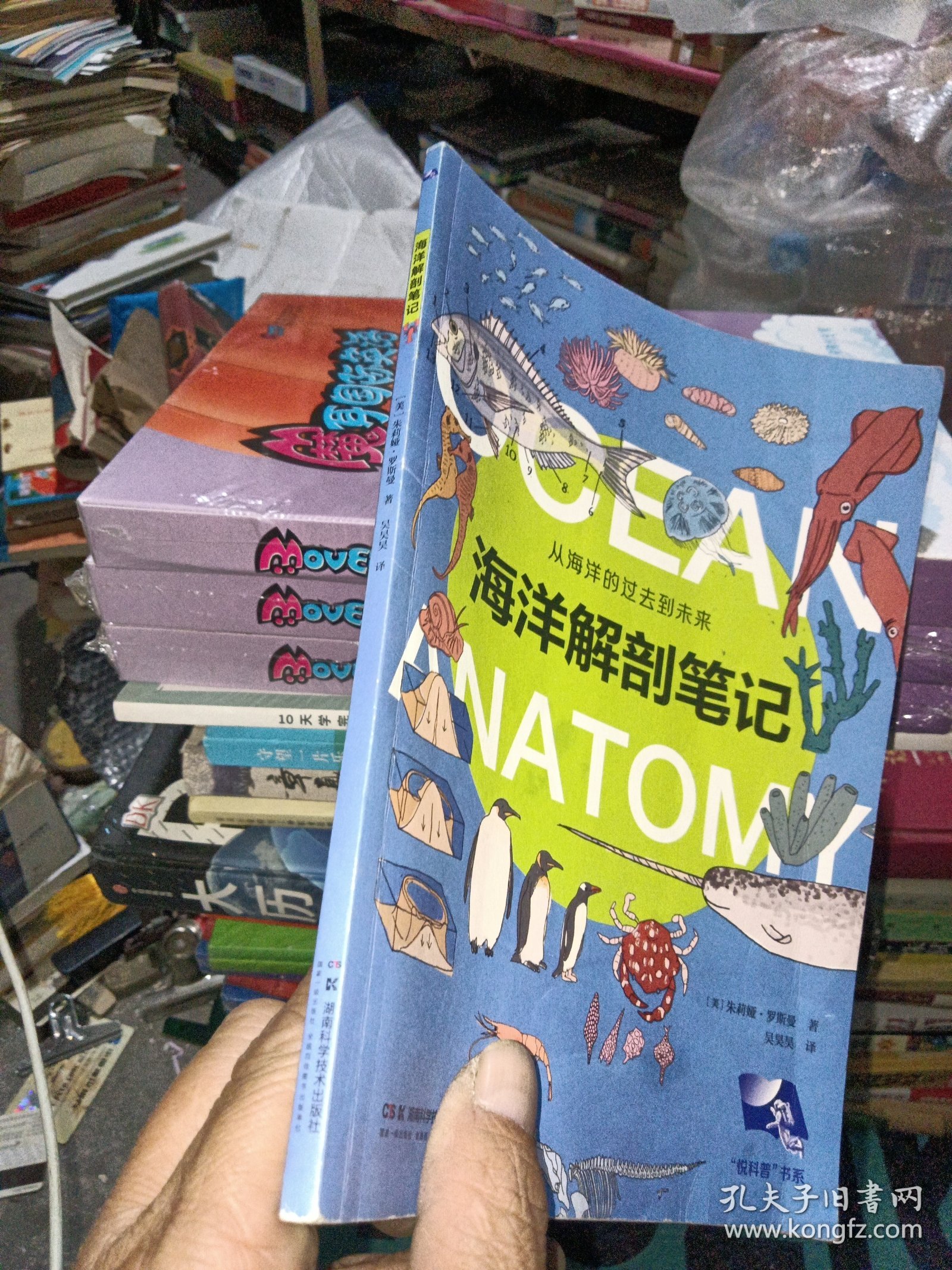 点击查看原图 海洋解剖笔记