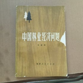 中国林业经济问题