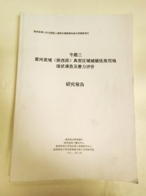 黄河流域（陕西段）典型区域城镇低效用地现状调查及潜力评价（大16开185页 附6张地图）