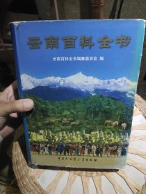 【前页首页被原主人撕掉不在了，正文完好】云南百科全书 《云南百科全书》编纂委员会 编 出版社: 中国大百科全书出版社