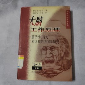 大脑工作原理：脑活动、行为和认知的协同学研究