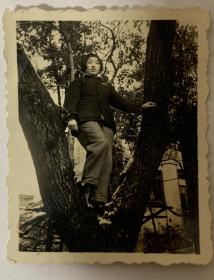 【老照片】1950年代女子上树照一张（树上可以看到白雪）--- 有背题。