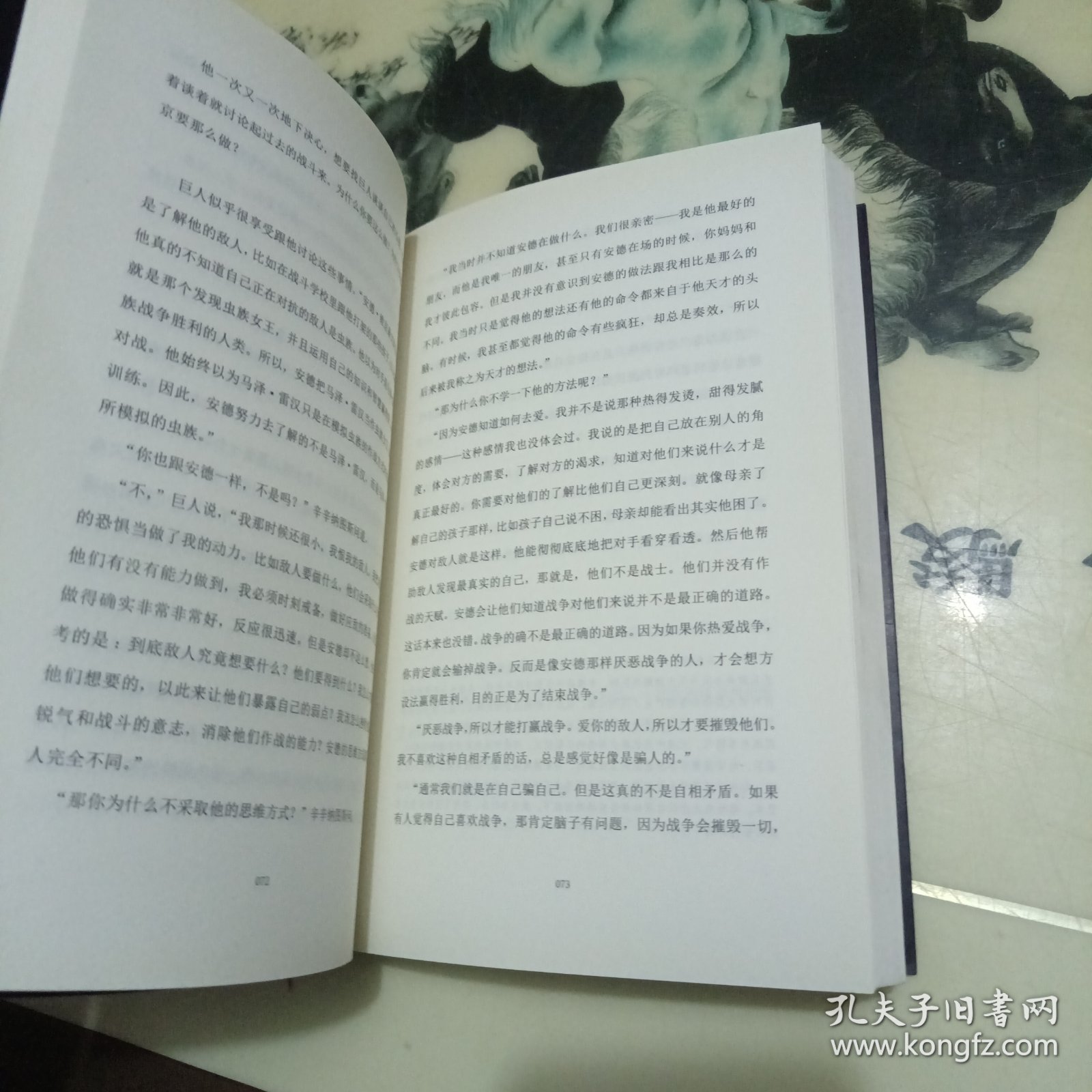 飞行中的阴影