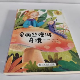 爱丽丝漫游奇境/小学语文快乐读书吧阅读丛书