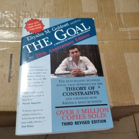The Goal：A Process of Ongoing Improvement