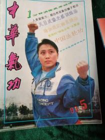 《中华气功》1989年1—5期、1995年1—4期，1996年1、3、4期，1993年1、2、3、5、期，共计15本合售。