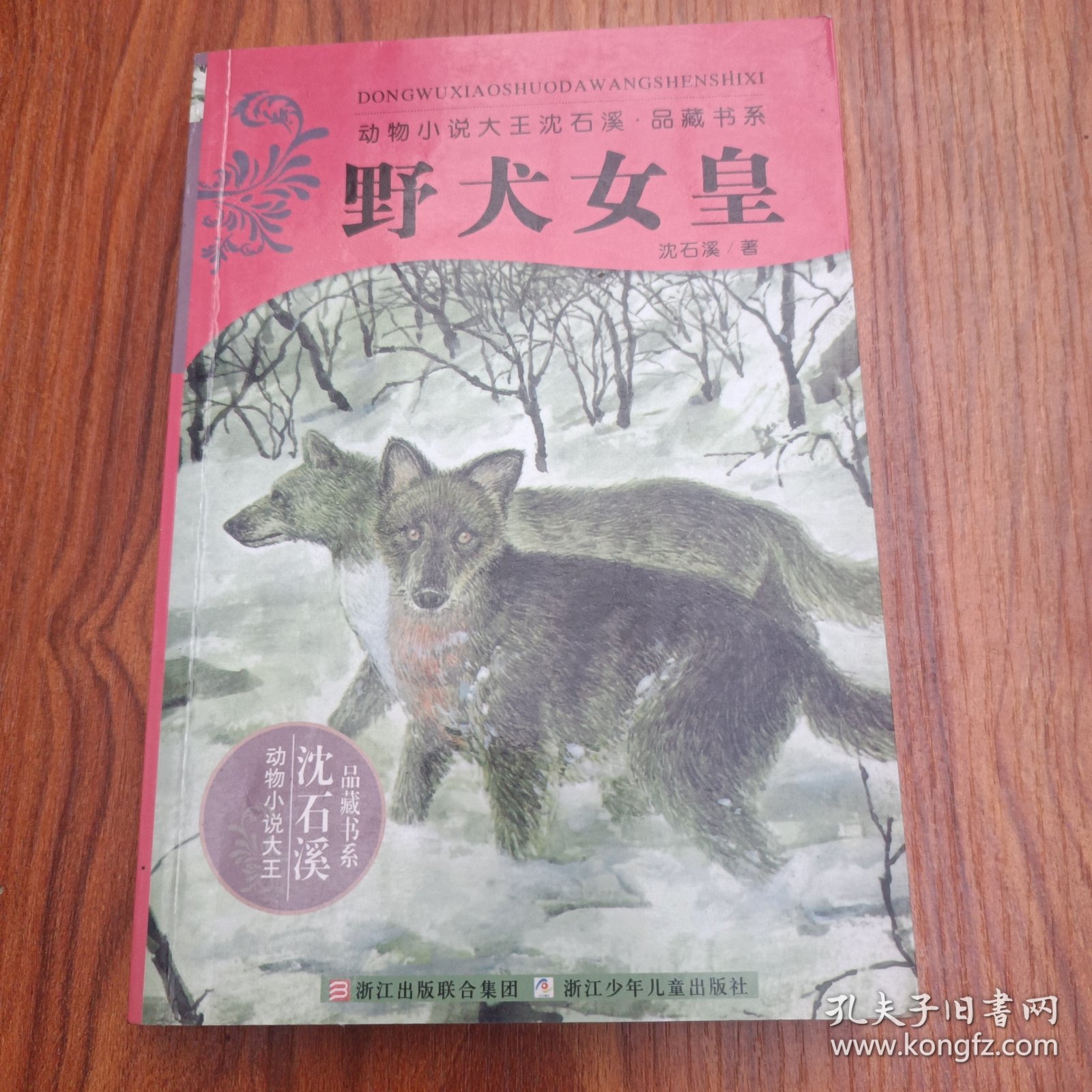 野犬女皇：动物小说大王沈石溪.品藏书系