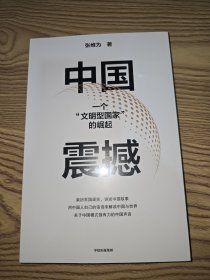 中国震撼（张维为作品）