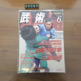 日文 武术 杂志 1988年 6月刊 武術と太極拳の専門誌