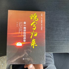 魂兮归来：金一南讲抗日战争