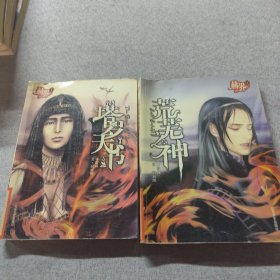 赫界之荒蕪之神塔羅天書 2本合售