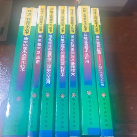 膜生物反应器在污水处理中的研究和应用
环境生物技术及应用
固定化微生物污水处理技术
环境工程中的高级氧化技术
电化学技术在环境工程中的应用
臭氧技术及应用
一共八本，废水生化处理
废水处理水热氧化技术