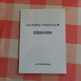山东省建筑工程消耗量定额交底培训资料【内页干净】
