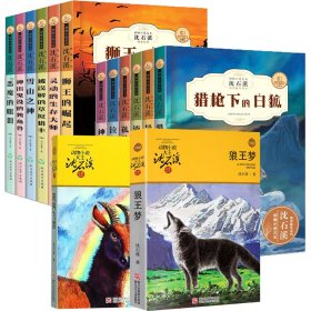沈石溪动物小说14册 儿童文学 沈石溪 新华正版