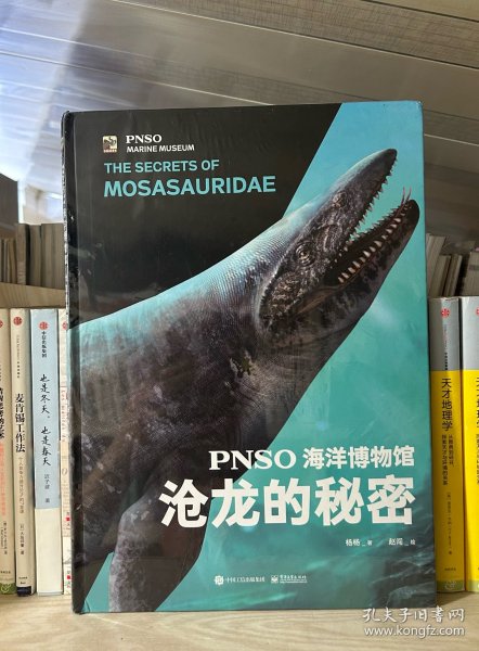 PNSO海洋博物馆 沧龙的秘密
