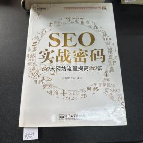 SEO实战密码：60天网站流量提高20倍