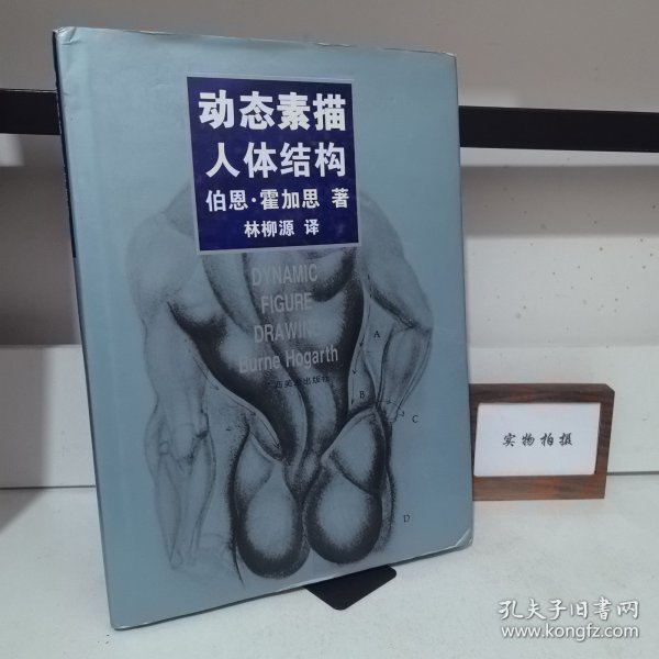 动态素描·人体结构