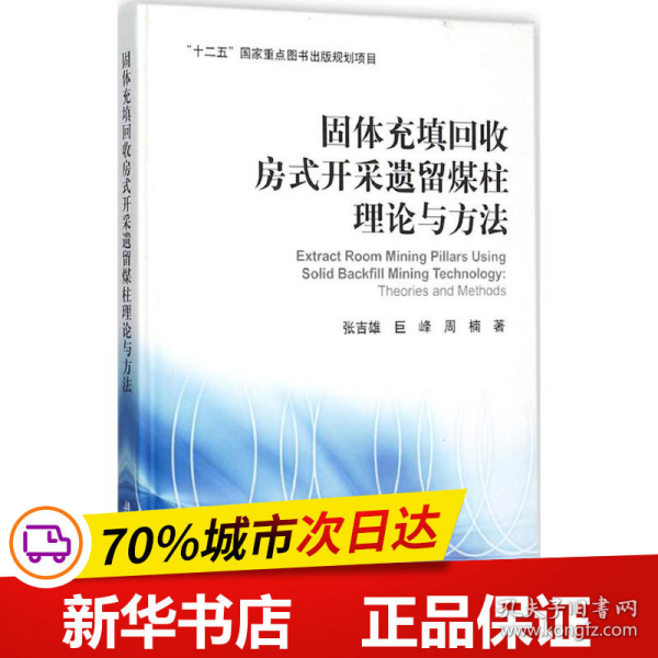 固体充填回收房式开采遗留煤柱理论与方法