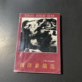 西洋素描选