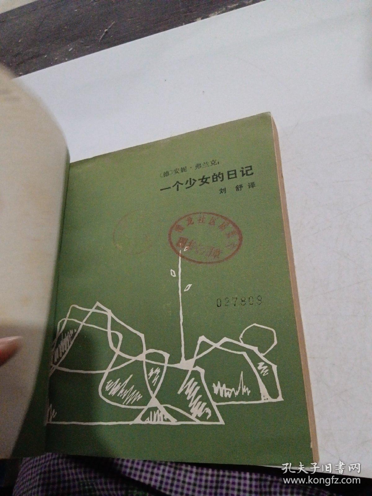 一个少女的日记