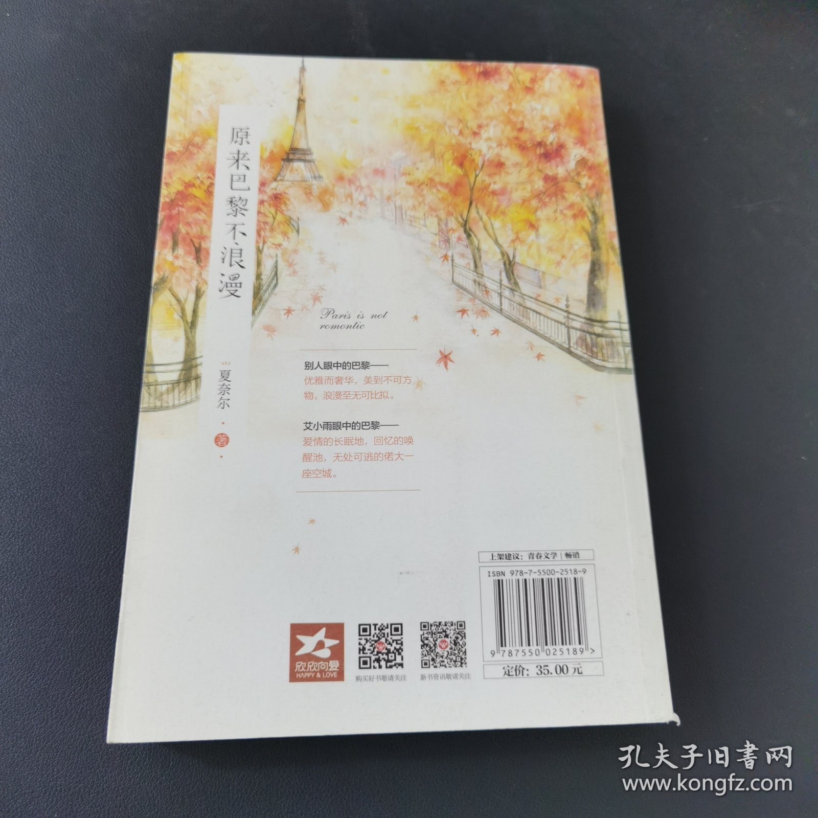 原来巴黎不浪漫