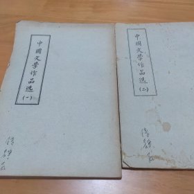 中国文学作品选（两册）