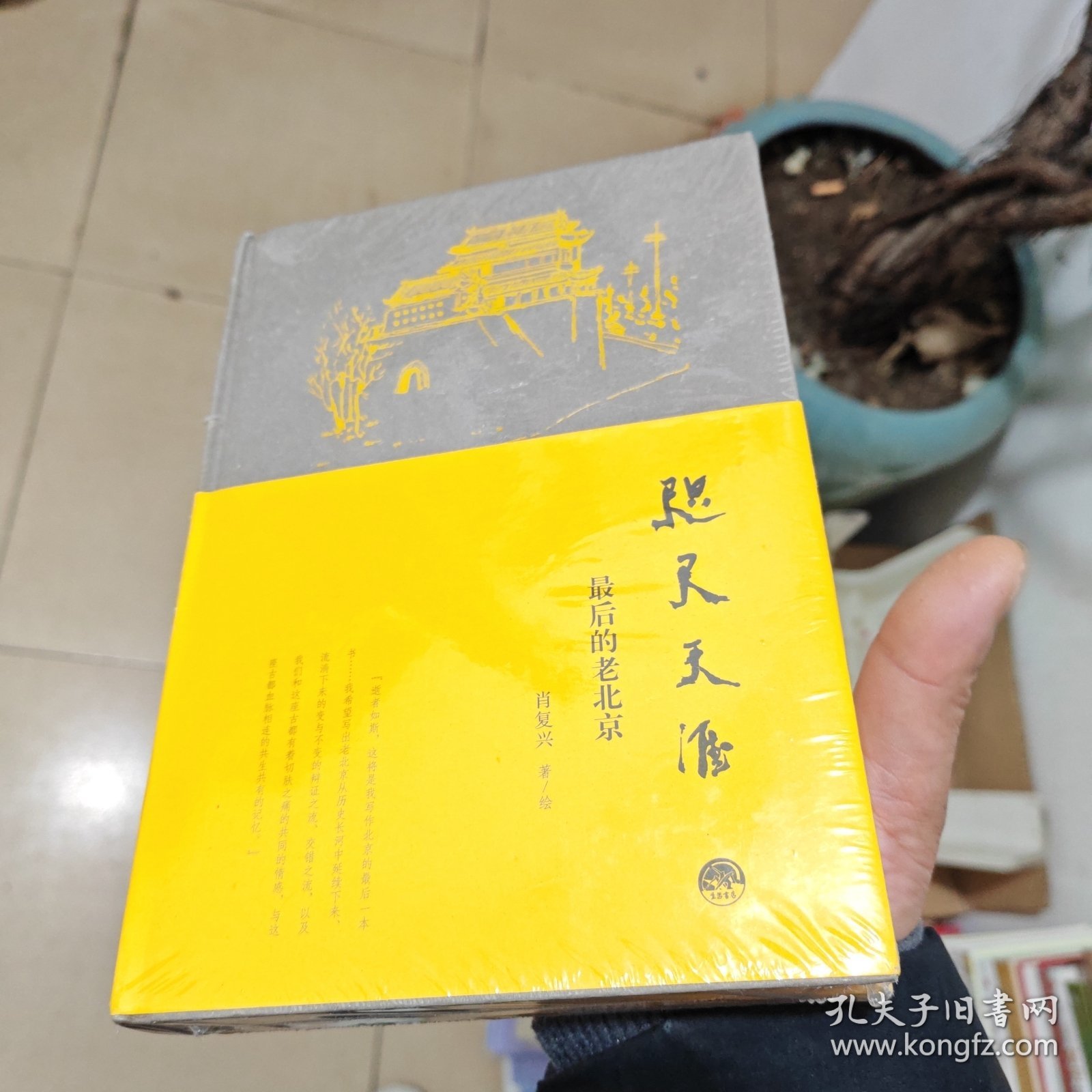 咫尺天涯：最后的老北京