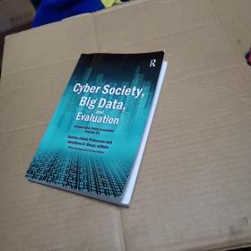 英文原版Cyber Society, Big Data, and Evaluation