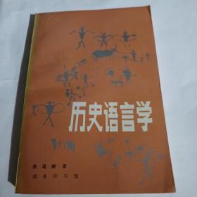 历史语言学C143--32开9品，96年印