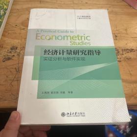 经济计量研究指导：实证分析与软件实现