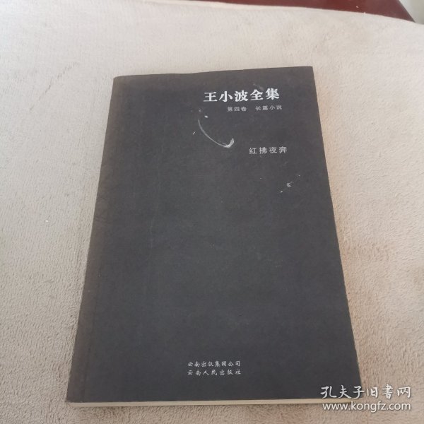 王小波全集：红拂夜奔（第四卷）：王小波全集第四卷 长篇小说