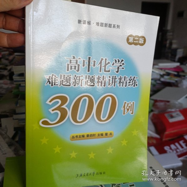 新课标·难题新题系列：高中化学难题新题精讲精练300例（第2版）