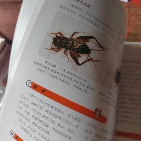 中国斗蟋选养与竞斗鉴赏  书脊如图