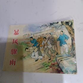 经典连环画阅读丛书：暴风骤雨