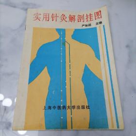 实用针灸解剖挂图