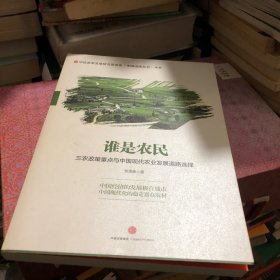 谁是农民：三农政策重点与中国现代农业发展道路选择