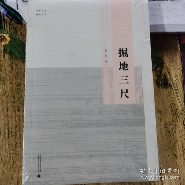 中国当代原创文学  掘地三尺