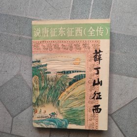 说唐征东征西(全传)薛丁山征西