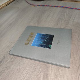 中国邮票 1994年 年册 空册 实物图 品如图 自鉴 货号83-1
