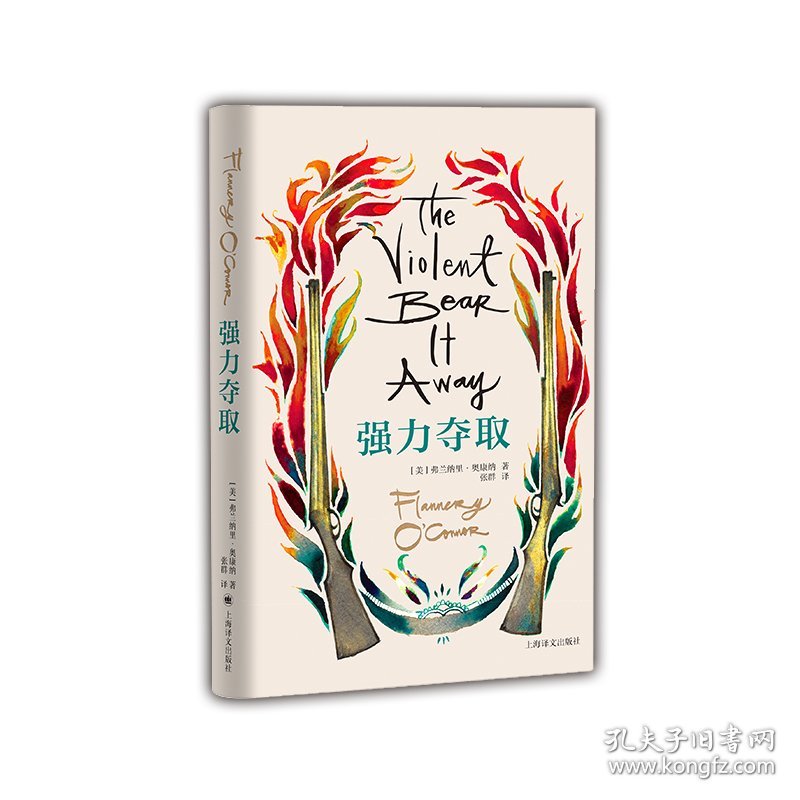 强力夺取（奥康纳文集） 9787532794058