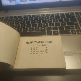 飞行集会---夜幕下的哈尔滨之二