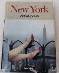 New York, Portrait of a City纽约城市肖像旅游摄影 艺术书籍进口原版图书