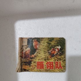 连环画 雁翎队