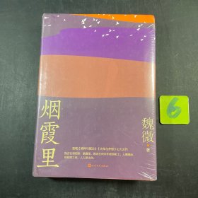 烟霞里（鲁迅文学奖魏微全新长篇小说，抒写一个时代下女主繁茂又寂静的匆匆一生）