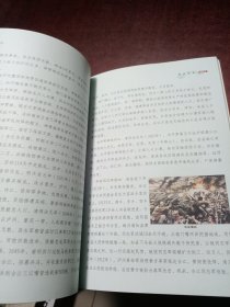 可爱合江