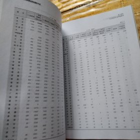 中国商品交易市场统计年鉴.2007